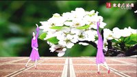 就爱广场舞昌黎波波广场舞《花儿开放在春风
