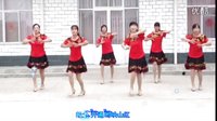2016年最新广场舞《映山红》南王月亮广场舞