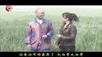 安徽民间小调《儿媳养娘为赚钱》全集