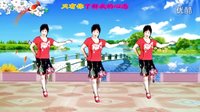 吕芳广场舞《爱重新再来》正背面及分解动作