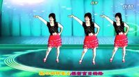 吕芳广场舞DJ《天下的姐妹》正背面及分解动
