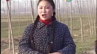 民间小调 老叫驴吃青草：全