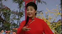 京剧《红云岗》选段 点着了炉中火 董翠娜演