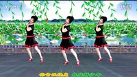 吕芳广场舞最新《不怨情深奈何缘浅》正背面