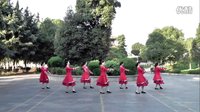 刘峰广场舞《月光草原》正背面演示与动作分