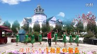 六安市淠绿花园广场舞  无情无名草 9人版  