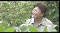 民间小调儿媳妇悄婆婆闹 ：1