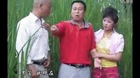 民间小调采小姨的花：02