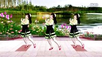 吕芳广场舞2016最新《清清的河水》正背面及