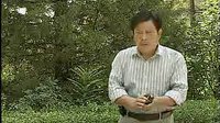 河南坠子小八义（上部）07