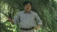河南坠子小八义（下部）01