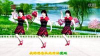 吕芳广场舞简单恰恰32步《一曲相思》正背面
