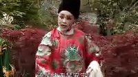 淮北琴书《罗衫记》03