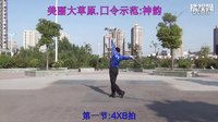《美丽的大草原》神韵广场舞男子队原创舞.