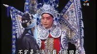 京剧红鬃烈马1（平贵别窑武家坡） 赵永伟陈美兰