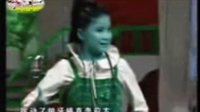 河南豫剧张玫专辑