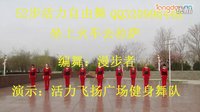 漫步飞扬广场舞《DJ使劲摇+坐上火车去拉萨