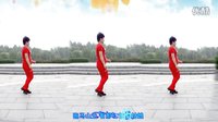 2016最新广场舞《溜溜的情歌》步子舞  麒麟