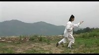 武当太极十三式.陈师行道长完整演示