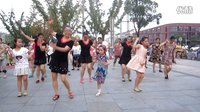 美娜子广场舞《八戒八戒》《迷茫的爱》编舞：杨丽萍下载