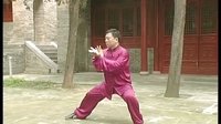 张东武太极03