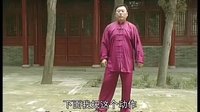张东武太极07