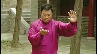 张东武太极09