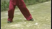 张东武太极10