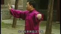 张东武太极11