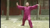 张东武太极12