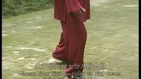 张东武太极13
