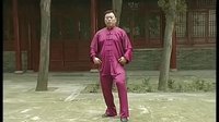 张东武太极14