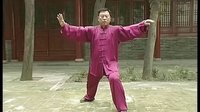 张东武太极15