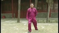 张东武太极16