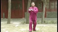 张东武太极18