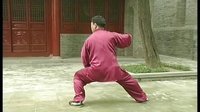 张东武太极19