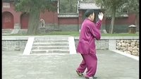 张东武太极20