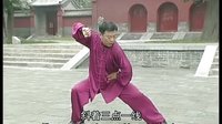 张东武太极21