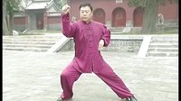 张东武太极22