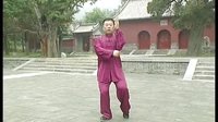 张东武太极24