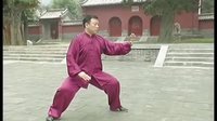 张东武太极25