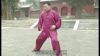 张东武太极28