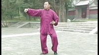 张东武太极29