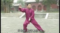 张东武太极30