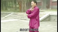 张东武太极31