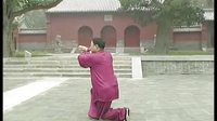 张东武太极33