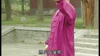 张东武太极34