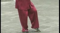 张东武太极35