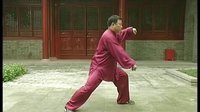张东武太极37