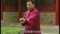 张东武太极39